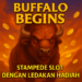 Buffalo Begins