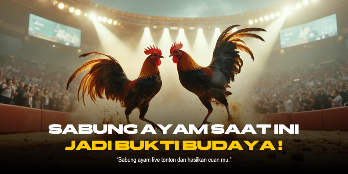 Mengenal Jenis Ayam Aduan SV388 yang Paling Populer