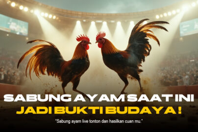 Mengenal Jenis Ayam Aduan SV388 yang Paling Populer