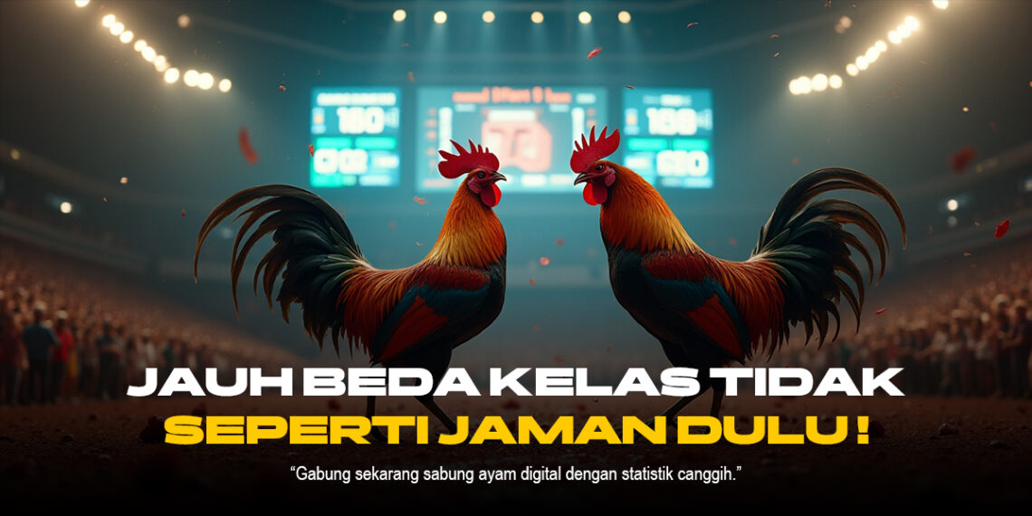 Keunikan Sabung Ayam: Tradisi yang Melestarikan Semangat dan Strategi