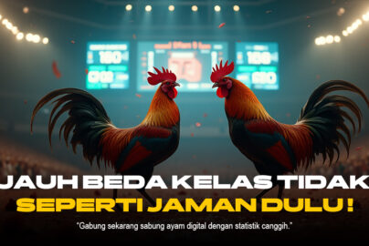 Keunikan Sabung Ayam: Tradisi yang Melestarikan Semangat dan Strategi