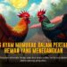 Pukulan Andal Ayam Bangkok di Sabung Ayam SV388