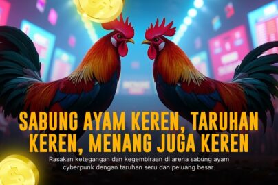 Mengenal Ayam Bangkok: Raja Sabung Ayam dengan Odds Tinggi