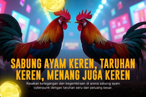 Mengenal Ayam Bangkok: Raja Sabung Ayam dengan Odds Tinggi