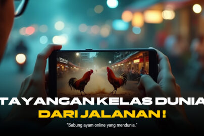 Rahasia Sabung Ayam S128: Jenis Ayam dan Odds Terpercaya