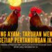 Keunggulan Ayam Bangkok dalam Sabung Ayam SV388