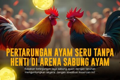 Mengenal Jenis Ayam Bangkok S128 Dalam Dunia Sabung Ayam