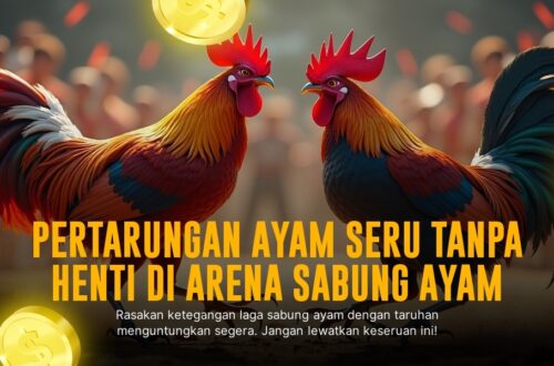 Mengenal Jenis Ayam Bangkok S128 Dalam Dunia Sabung Ayam